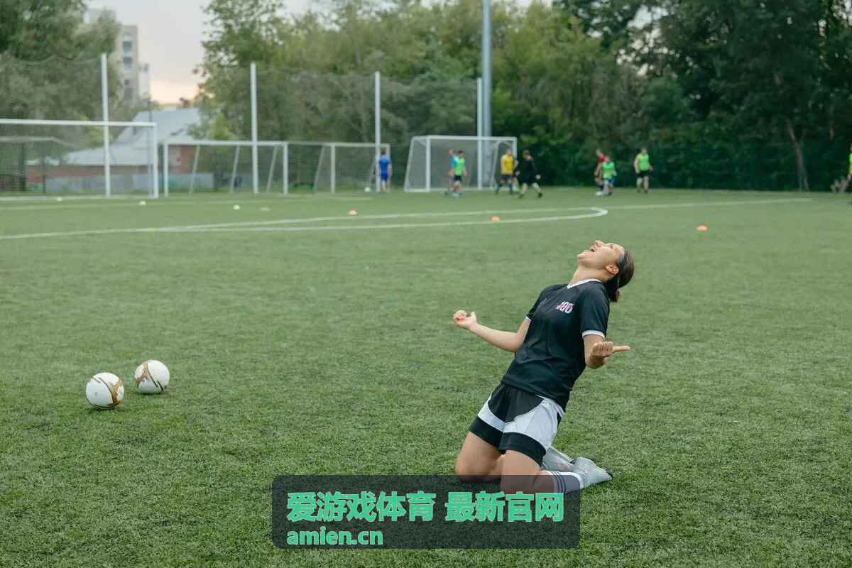 爱游戏体育 官网入口指南封面