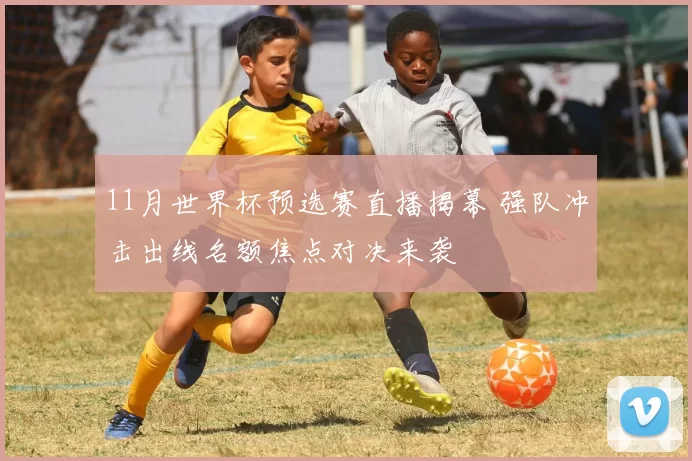 11月世界杯预选赛直播揭幕 强队冲击出线名额焦点对决来袭