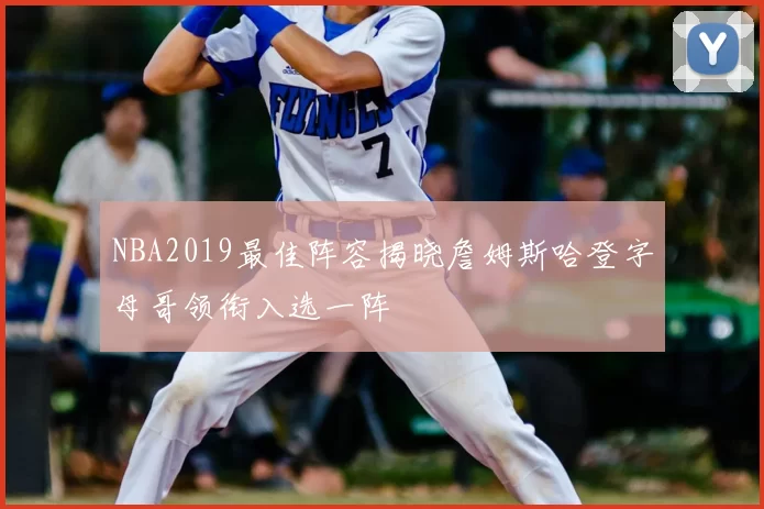 NBA2019最佳阵容揭晓詹姆斯哈登字母哥领衔入选一阵